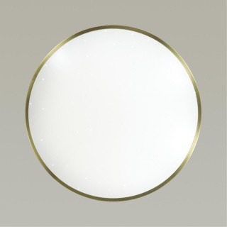 2089/EL PALE SN 079 Светильник пластик/белый/бронза LED 72Вт 3000-6000K D540 IP43 пульт ДУ LOTA BRONZE-foto5