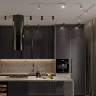 370879 PORT NT22 068 серебро Светильник трековый однофазный двухжильный IP20 GU10 9W 220V ULAR-foto3