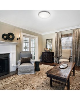 2051/EL PALE SN 088 Светильник пластик/белый/хром LED 72Вт 3000-6000K D520 IP43 пульт ДУ LEKA-foto3