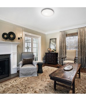 2051/EL PALE SN 088 Светильник пластик/белый/хром LED 72Вт 3000-6000K D520 IP43 пульт ДУ LEKA-foto3