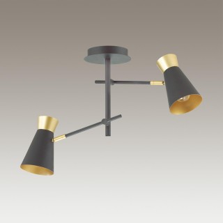 3790/2C LOFTI LN19 209 матовый черный, золотой Люстра потолочная E14 2*40W 220V LIAM-foto3