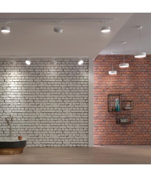 358761 OVER NT21 184 белый Светильник накладной светодиодный, длина провода 2м IP20 LED 30W 4000K 2600Лм 100-265V PROMETA-foto3