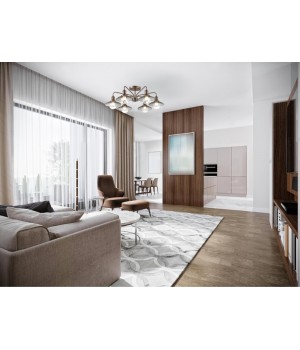 3513/6C LOFTI LN18 210 кофейный Люстра потолочная E27 6*60W 220V LUDACRIS-foto3