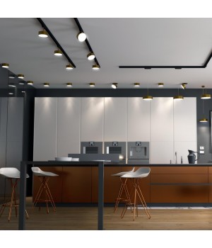 358760 PORT NT21 122 матовое золото Трехфазный трековый светодиодный светильник IP20 LED 24W 4000K 2100Лм 100-265V PROMETA-foto3