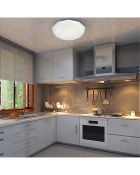 2012/CL PALE SN 085 Светильник пластик/белый/прозрачный LED 30Вт 4000K D340 IP43 TORA-foto3