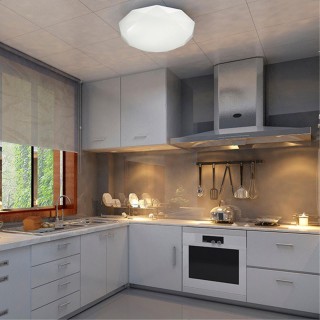 2012/CL PALE SN 085 Светильник пластик/белый/прозрачный LED 30Вт 4000K D340 IP43 TORA-foto3