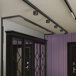 358915 SHINO NT22 053 черный Трековый светильник для низков.шинопровода диммируемый с пультом ДУ со сменой цв.температуры IP20 LED 3000~6500К 24W 48V-foto3