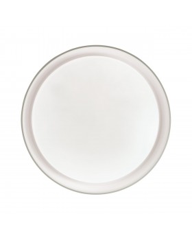 3030/DL TAN SN 056 Светильник пластик/белый LED 48Вт 3000-6500K D410 IP43 пульт ДУ/ LampSmart BIONIC-foto5