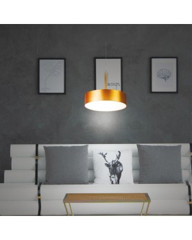 358766 SPOT NT21 240 матовое золото Светильник встраиваемый светодиодный, длина провода 2м IP20 LED 30W 4000K 2600Лм 100-265V PROMETA-foto3