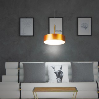 358766 SPOT NT21 240 матовое золото Светильник встраиваемый светодиодный, длина провода 2м IP20 LED 30W 4000K 2600Лм 100-265V PROMETA-foto3