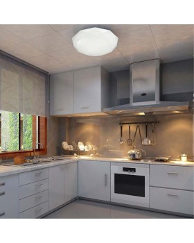 2012/D PALE SN 085 Светильник пластик/белый/прозрачный LED 48Вт 4000K D425 IP43 TORA-foto3