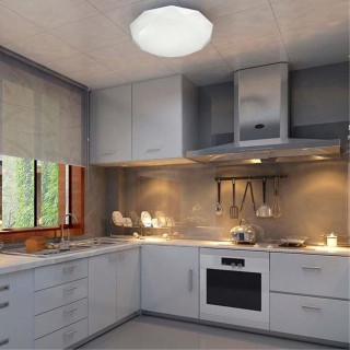 2012/D PALE SN 085 Светильник пластик/белый/прозрачный LED 48Вт 4000K D425 IP43 TORA-foto3