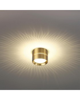 6607/1C HIGHTECH ODL23 259 золотой/металл Потолочный св-к IP20 LED SMD LED 4W + LED GX53 12W 3000K REAL-foto3