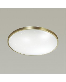 2089/DL PALE SN 079 Светильник пластик/белый/бронза LED 48Вт 3000-6000K D440 IP43 пульт ДУ LOTA BRONZE-foto4