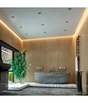 358484 SPOT NT21 246 золото Светильник встраиваемый IP44 LED 3000K 10W 100-265V METIS-foto3