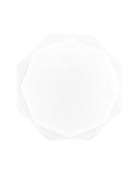 3002/DL SN 057 Светильник пластик LED 48Вт 3000-6500K D400 IP43 пульт ДУ/ LampSmart VESTA-foto5