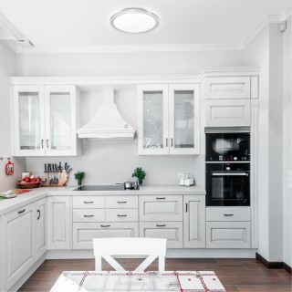 2049/DL PALE SN 095 Светильник пластик/белый LED 48Вт 3000-6000K D450 IP43 пульт ДУ KABRIO-foto3