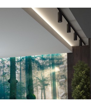 358595 PORT NT21 124 черный Трехфазный трековый cветильник IP20 LED 4000K 30W 175-245V DEP-foto3