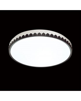 3053/DL PALE SN 023 Светильник пластик/белый/черный LED 48Вт 3000-6000К D385 IP43 пульт ДУ DORTA-foto3