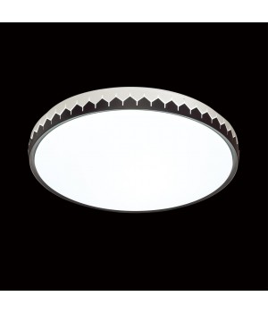3053/DL PALE SN 023 Светильник пластик/белый/черный LED 48Вт 3000-6000К D385 IP43 пульт ДУ DORTA-foto3
