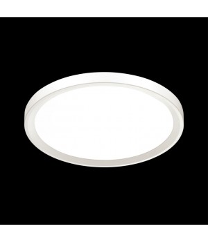 3064/50L VASTA LED SN 041 Светильник пластик/белый LED 50Вт 3000-6000K D500 IP43 пульт ДУ TASTA-foto3