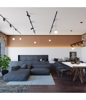 358467 SHINO NT20 056 черн Трековый светильник для низков. шинопровода IP20 LED 4000К 12W 48V FLUM-foto3