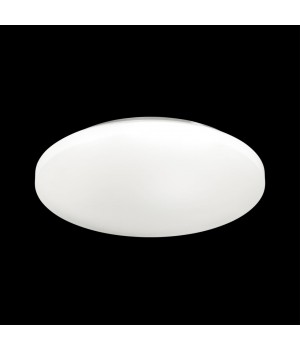 3017/CL PALE SN 066 Светильник пластик/белый LED 30Вт 4000K D350 IP43 SIMPLE-foto3