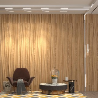 358914 SHINO NT22 053 белый Трековый светильник для низков.шинопровода диммируемый с пультом ДУ со сменой цв.температуры IP20 LED 3000~6500К 24W 48V F-foto3