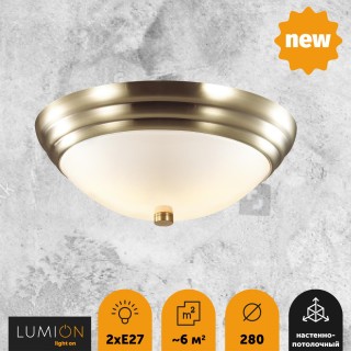 5262/2C VINTAGE LN23 225 античная латунь Настенно-потолочный светильник E27 2*60W 220V KAYLA-foto4