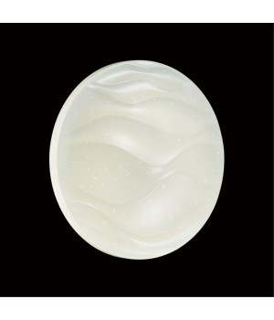 2090/CL PALE SN 067 Светильник пластик/белый LED 30Вт 4000K D340 IP43 ERICA-foto4