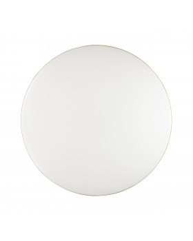 3043/AL TAN SN 025 Светильник пластик/белый/золотистый LED 18Вт 4000К D280 IP43 LASSA-foto4