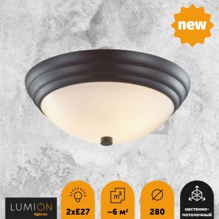 5263/2C VINTAGE LN23 225 черный Настенно-потолочный светильник E27 2*60W 220V KAYLA-foto4