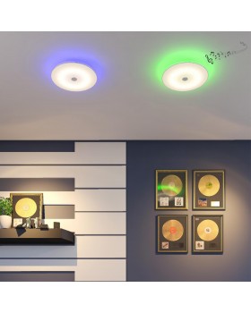 4629/DL VASTA LED SN 047 св-к ROKI muzcolor пластик LED 48Вт 3000-6500К D500 IP20 пульт ДУ/динамики-foto4