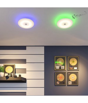 4629/DL VASTA LED SN 047 св-к ROKI muzcolor пластик LED 48Вт 3000-6500К D500 IP20 пульт ДУ/динамики-foto4