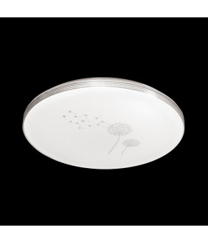 3005/EL SN 062 Светильник пластик LED 72Вт 3000-6500K D495 IP43 пульт ДУ/ LampSmart AIRITA-foto4