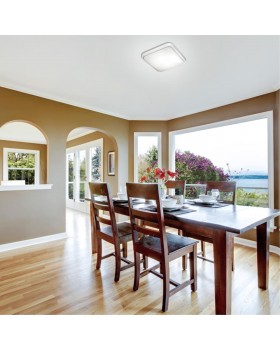 2014/E PALE SN 100 Светильник пластик/белый/хром LED 72Вт 3000-6000K 500х500 IP43 пульт ДУ KVADRI-foto3