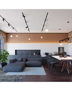 358632 SHINO NT21 053 черный Трековый низковольтный св-к диммируемый с ДУ, со сменой цв.температуры IP20 LED 3000~6500К 20W 48V FLUM-foto3