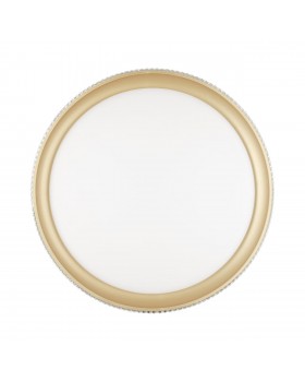 3054/DL PALE SN 034 Светильник пластик/белый/золотистый LED 48Вт 3000-6000К D395 IP43 пульт ДУ SHINY-foto6