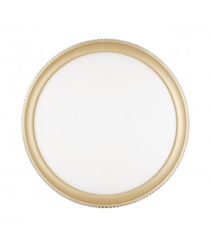 3054/DL PALE SN 034 Светильник пластик/белый/золотистый LED 48Вт 3000-6000К D395 IP43 пульт ДУ SHINY-foto6