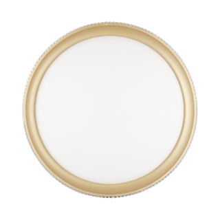 3054/DL PALE SN 034 Светильник пластик/белый/золотистый LED 48Вт 3000-6000К D395 IP43 пульт ДУ SHINY-foto6