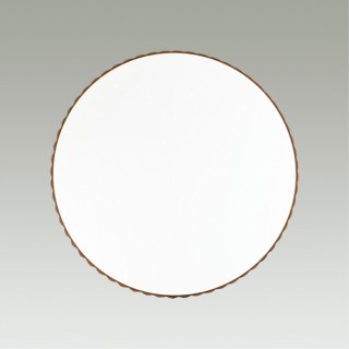 2078/EL PALE SN 073 Светильник пластик/белый/янтарный LED 72Вт 3000-6000K D500 IP43 пульт ДУ DINA AMBER-foto5