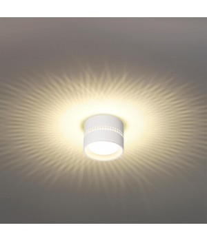 6609/1C HIGHTECH ODL23 259 белый/металл Потолочный св-к IP20 LED SMD LED 4W + LED GX53 12W 3000K REAL-foto3