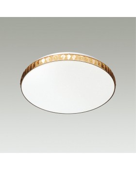 2078/DL PALE SN 073 Светильник пластик/белый/янтарный LED 48Вт 3000-6000K D390 IP43 пульт ДУ DINA AMBER-foto4