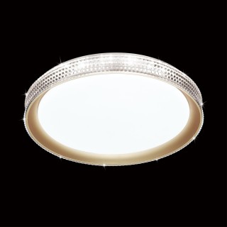 3054/DL PALE SN 034 Светильник пластик/белый/золотистый LED 48Вт 3000-6000К D395 IP43 пульт ДУ SHINY-foto3