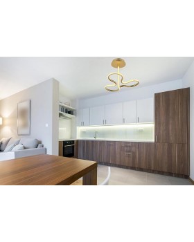 Потолочный светодиодный светильник Arti Lampadari Angelo L 1.2.35.03 G-foto2