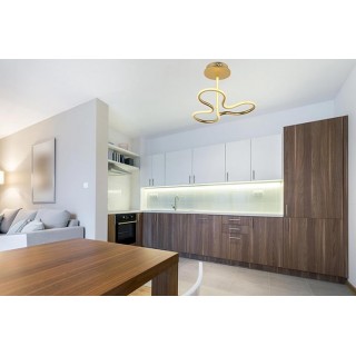 Потолочный светодиодный светильник Arti Lampadari Angelo L 1.2.35.03 G-foto2