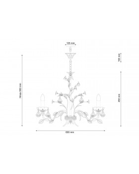 Lucia Tucci Fiori di rose 1770.6-foto3