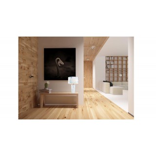 Lucia Tucci HARRODS T943.1-foto2