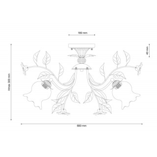 Lucia Tucci Fiori di rose 114.6-foto3