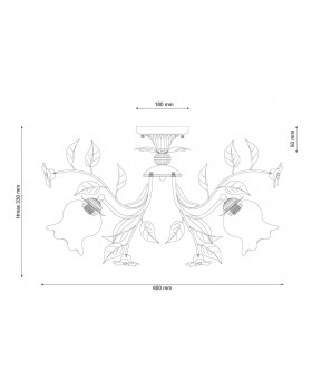 Lucia Tucci Fiori di rose 114.8-foto3